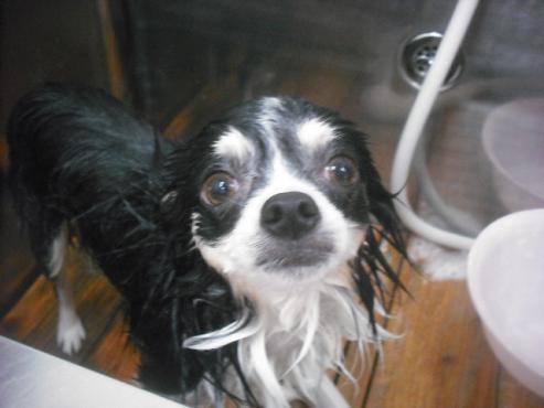 ファイル 2240-2.jpg