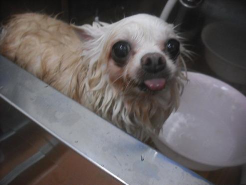 ファイル 2242-2.jpg