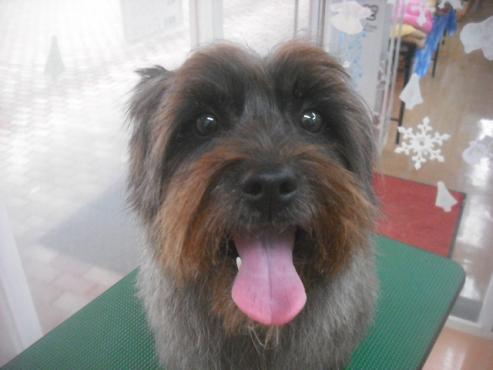 ファイル 2243-1.jpg