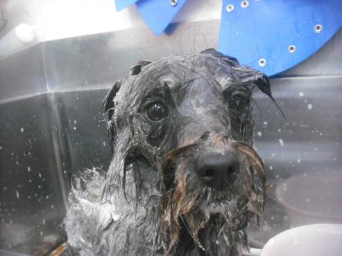 ファイル 2243-2.jpg