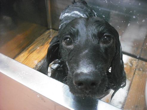 ファイル 2245-2.jpg