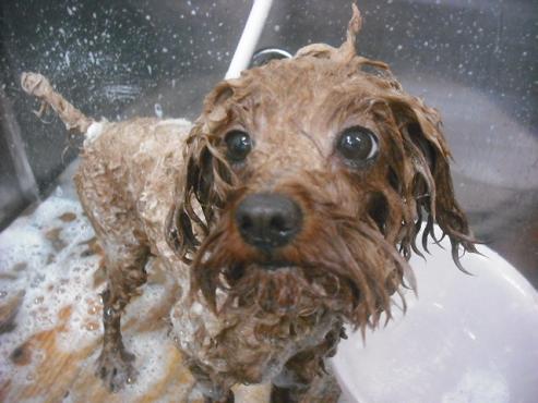 ファイル 2246-2.jpg