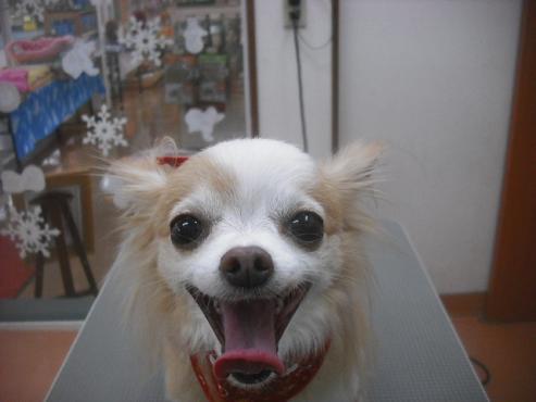 ファイル 2248-2.jpg