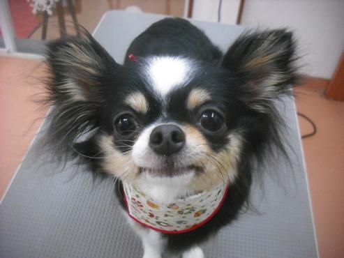 ファイル 2249-1.jpg