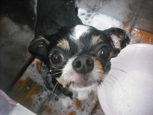 ファイル 2249-2.jpg