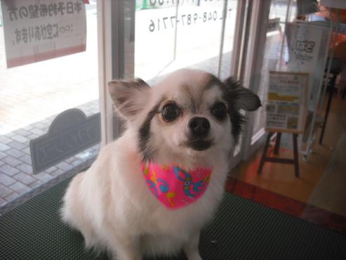 ファイル 225-1.jpg