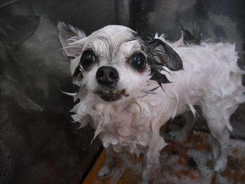 ファイル 225-2.jpg