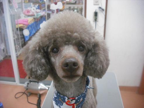 ファイル 2250-1.jpg