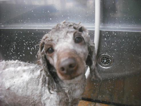 ファイル 2250-2.jpg