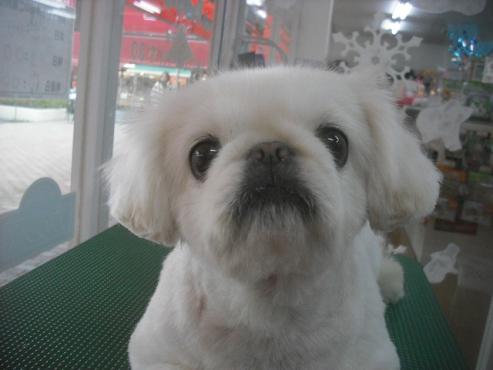 ファイル 2252-1.jpg