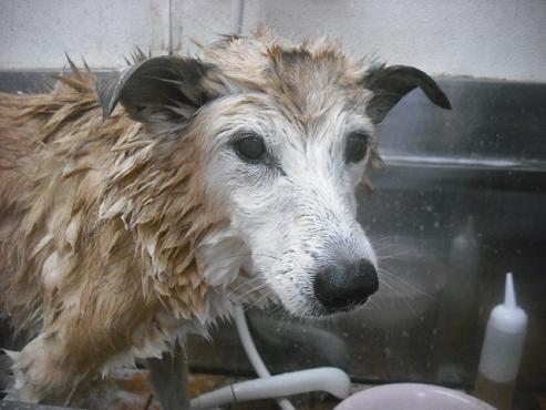 ファイル 2254-2.jpg