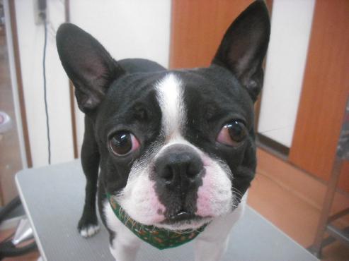 ファイル 2255-1.jpg