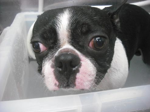 ファイル 2255-2.jpg