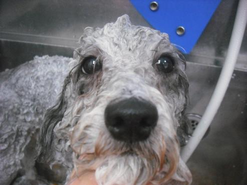 ファイル 2257-2.jpg