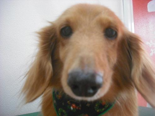 ファイル 2259-1.jpg