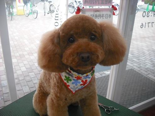 ファイル 226-1.jpg