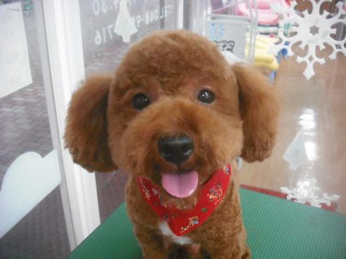 ファイル 2262-1.jpg