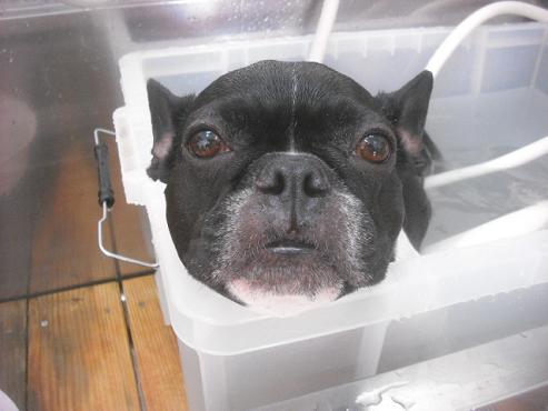 ファイル 2265-3.jpg