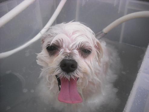 ファイル 2267-3.jpg