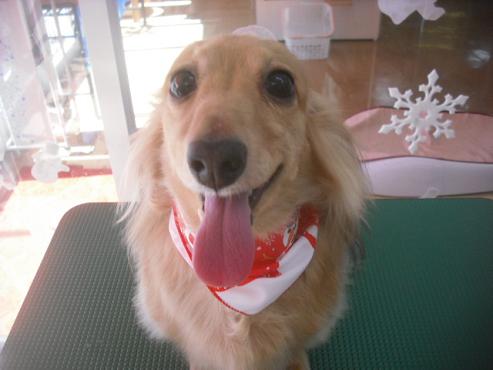 ファイル 2268-1.jpg