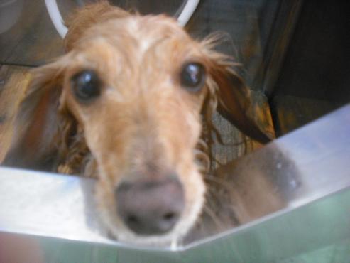 ファイル 2268-3.jpg