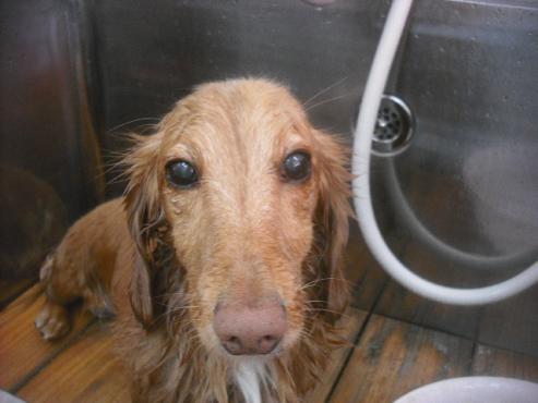 ファイル 2269-3.jpg