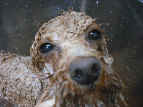 ファイル 227-2.jpg