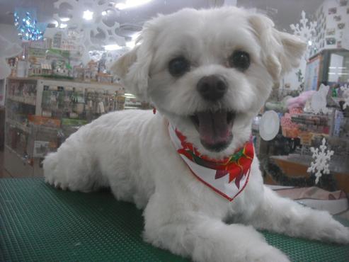 ファイル 2270-1.jpg