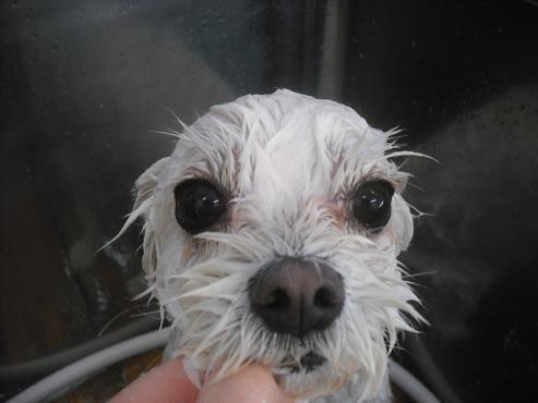 ファイル 2270-3.jpg