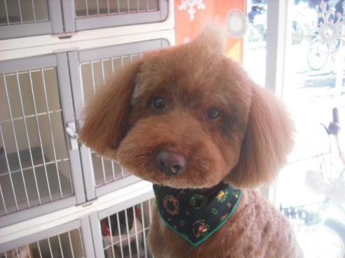 ファイル 2271-1.jpg