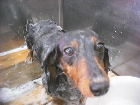 ファイル 2272-3.jpg