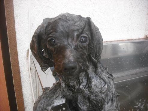 ファイル 2273-3.jpg