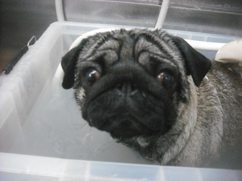 ファイル 2274-3.jpg