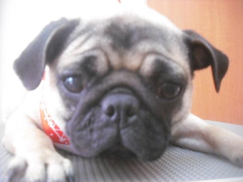 ファイル 2275-1.jpg