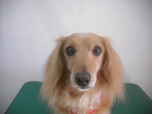 ファイル 2276-3.jpg