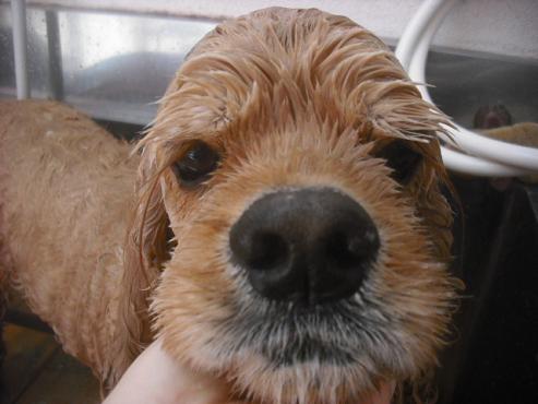 ファイル 2279-2.jpg