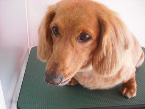 ファイル 228-2.jpg