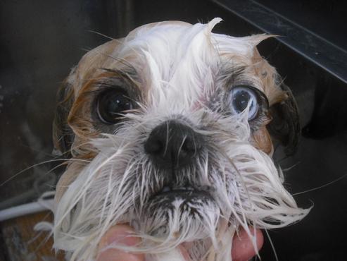 ファイル 2280-3.jpg