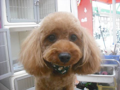 ファイル 2281-1.jpg