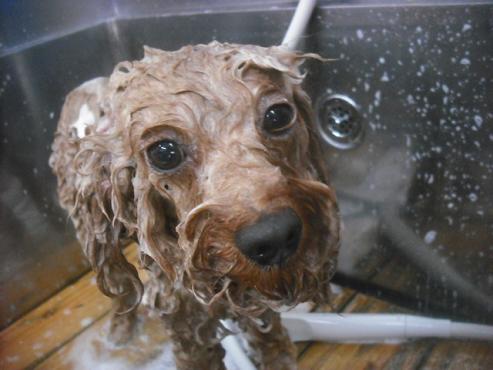 ファイル 2281-2.jpg