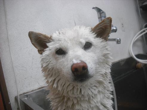 ファイル 2282-3.jpg