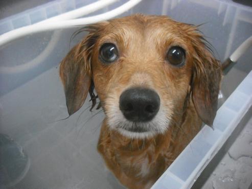 ファイル 2283-3.jpg