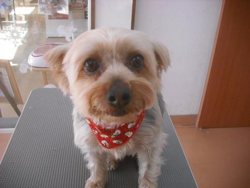 ファイル 2284-1.jpg