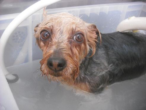 ファイル 2284-3.jpg