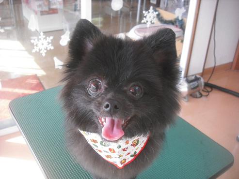 ファイル 2285-1.jpg