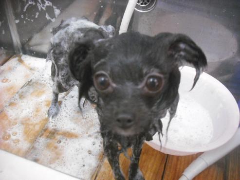 ファイル 2285-2.jpg