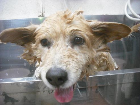 ファイル 2286-2.jpg