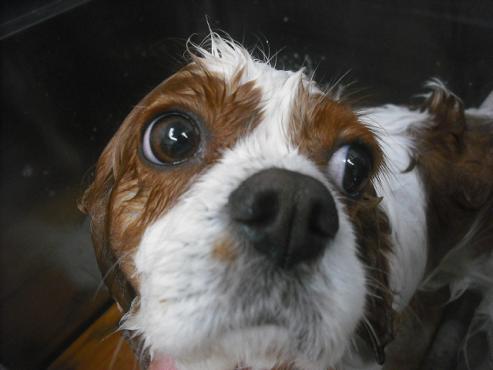 ファイル 2287-2.jpg