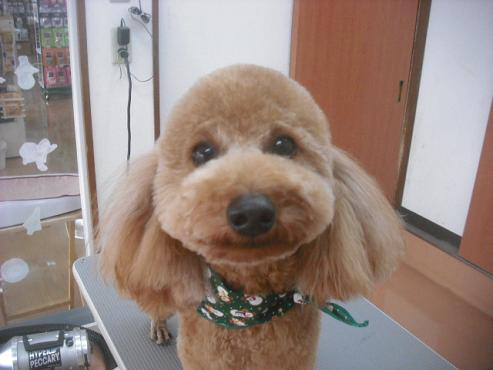 ファイル 2288-1.jpg