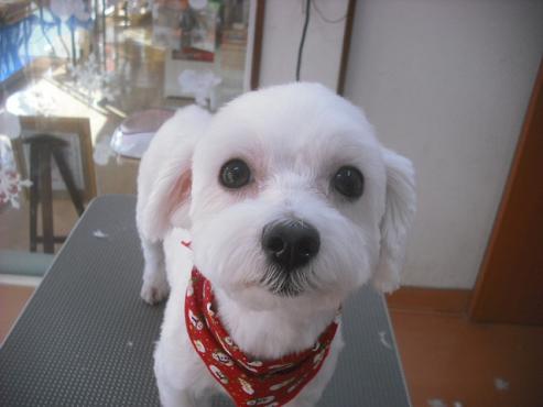 ファイル 2289-1.jpg